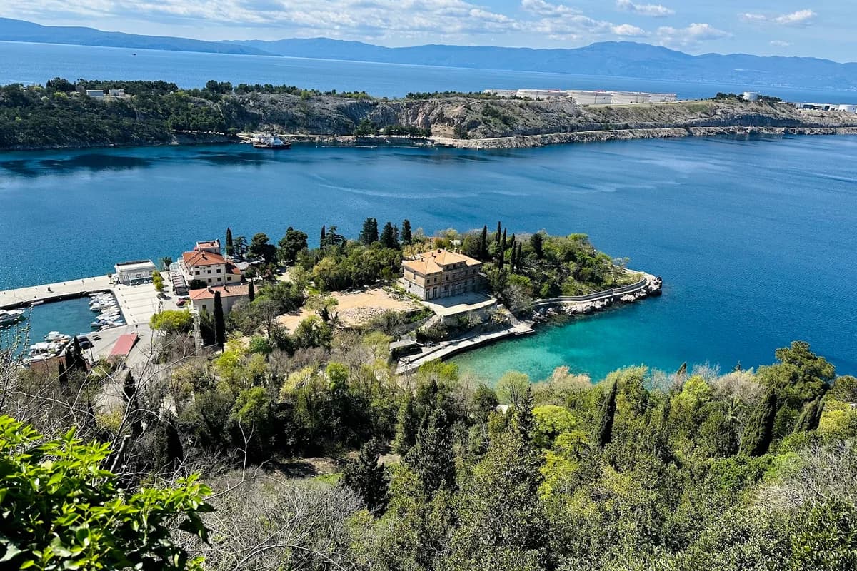 Viewpoint -