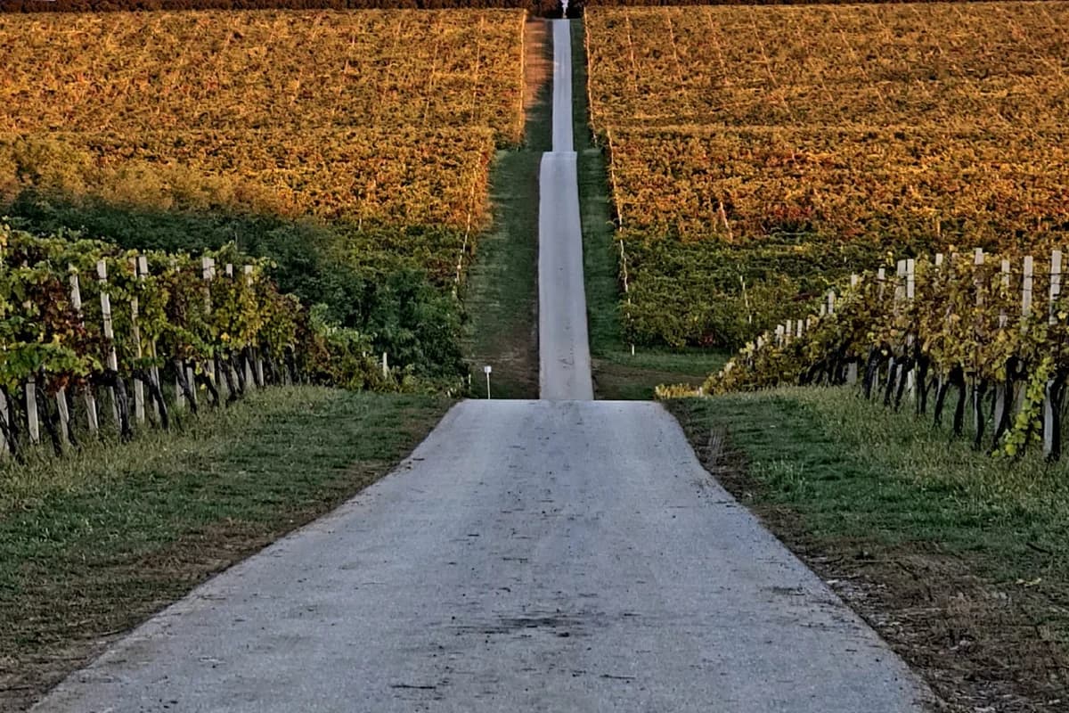 Vidikovac Vinogradi