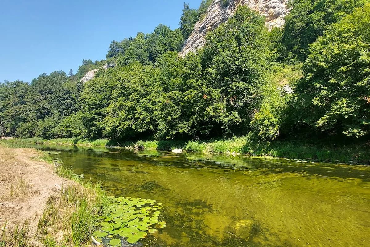 Vidikovac View Korana