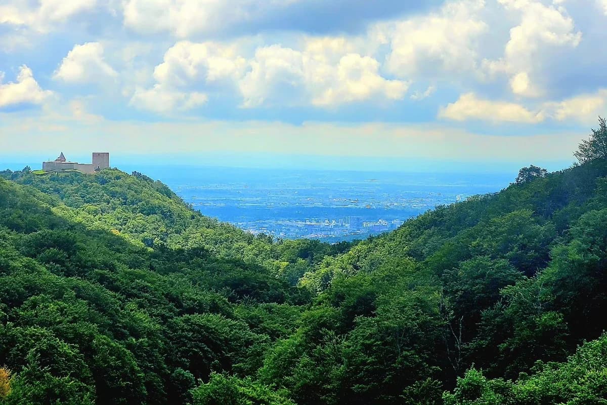 Vidikovac Panjevina