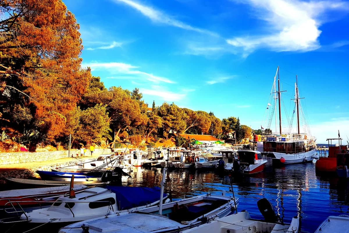 Marina Luka Mandre