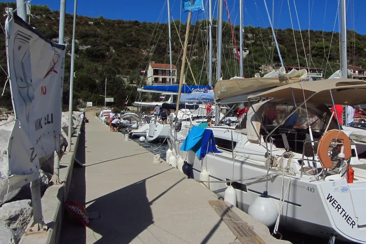 Marina Drvenik Veliki