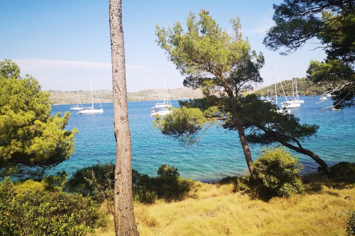 Tisuću godina prvog spomena ribarstva u Hrvata