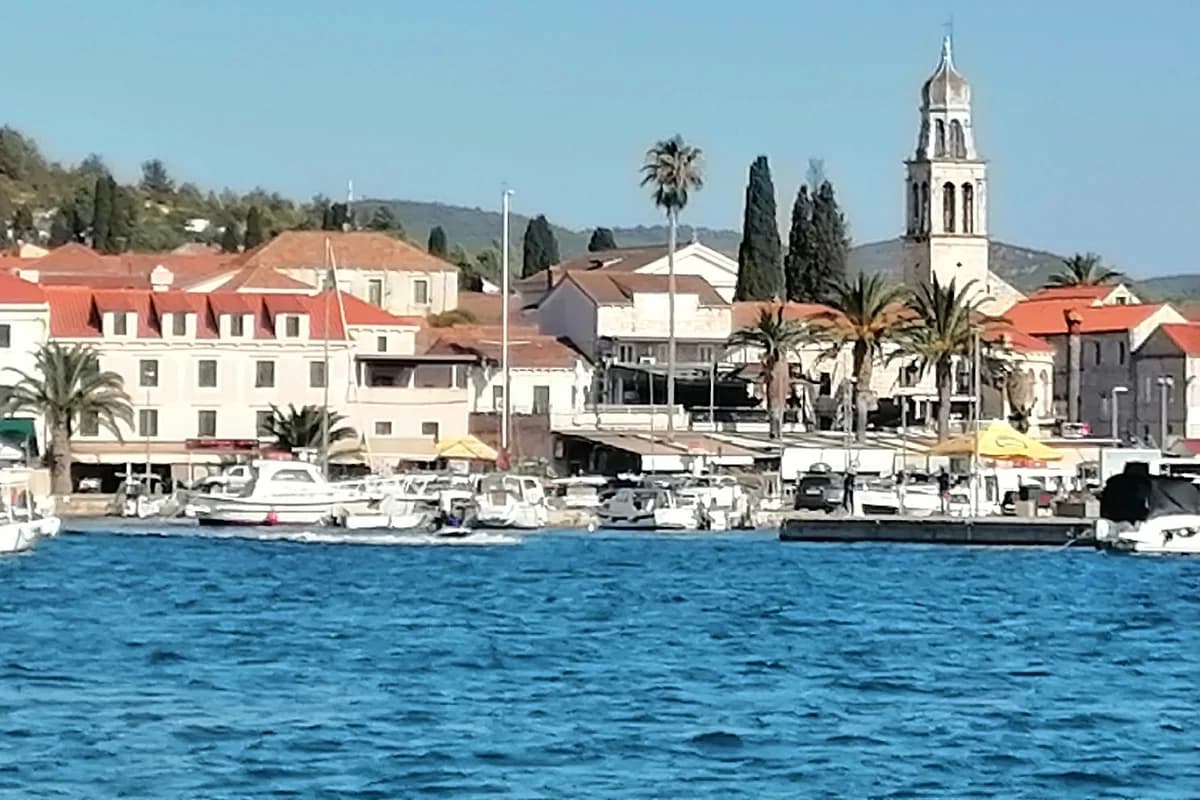Vela luka