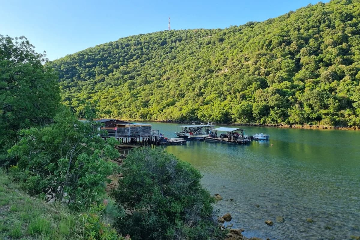 Marina Luka Vrh Lima