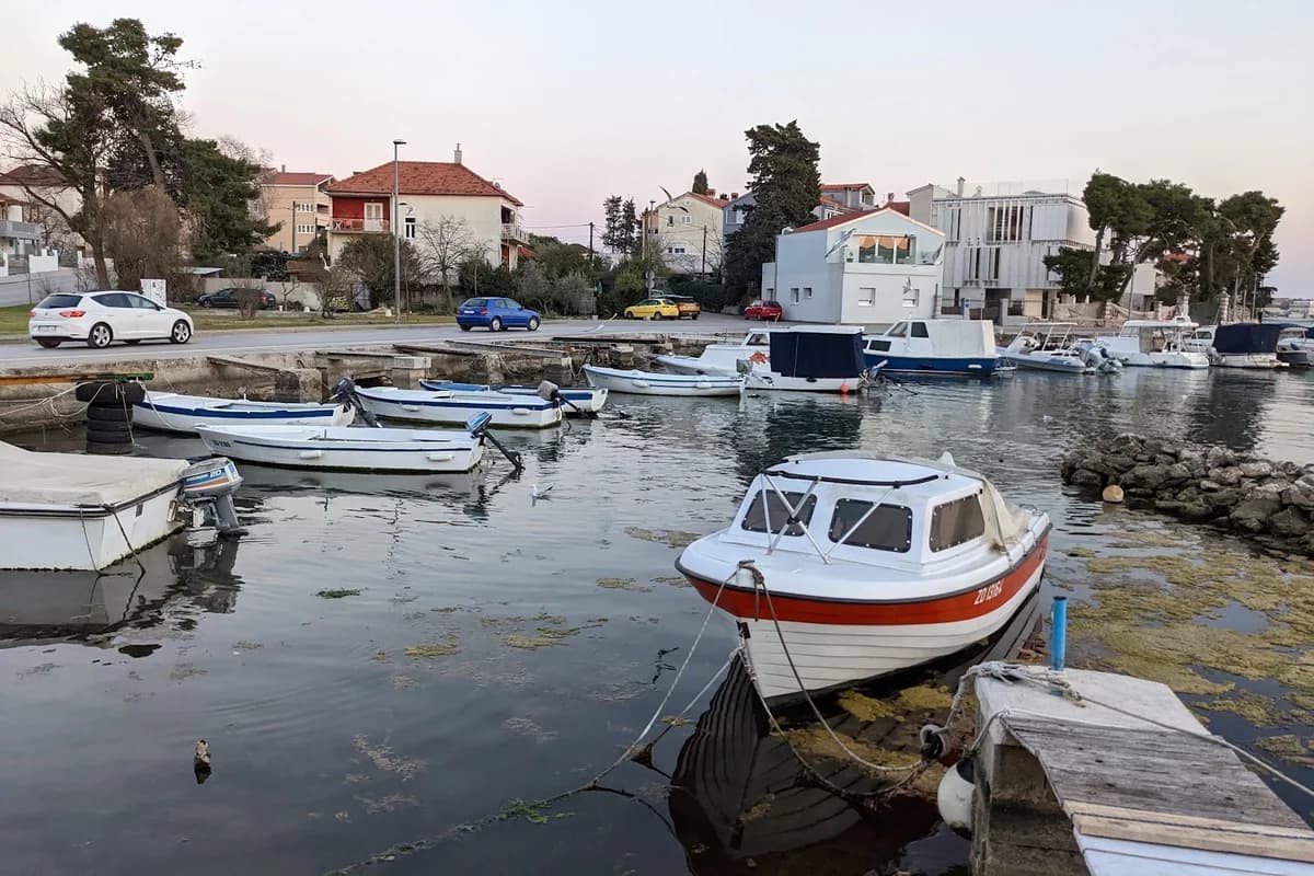 Marina Draženica