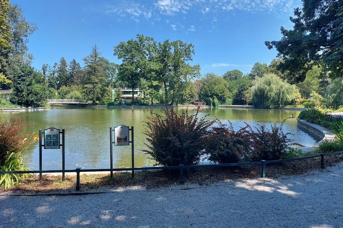 Maksimir - Jezero