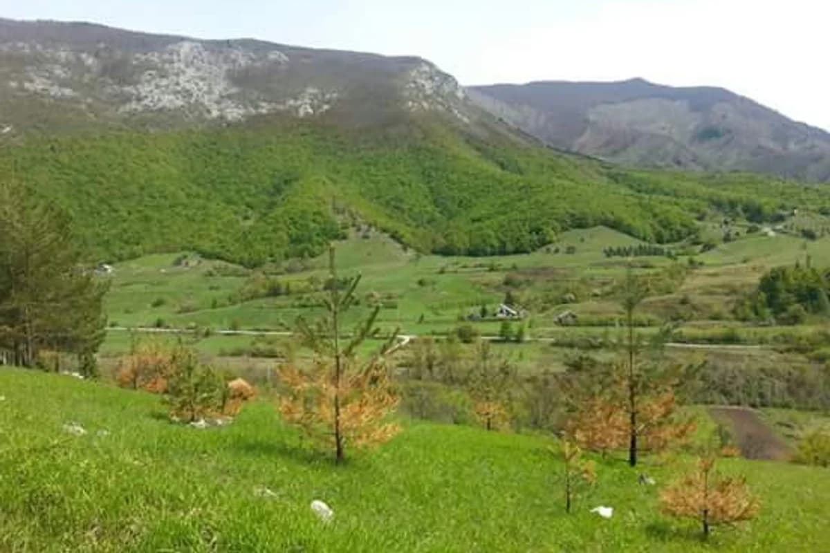 Željeznička stanica Kaldrma