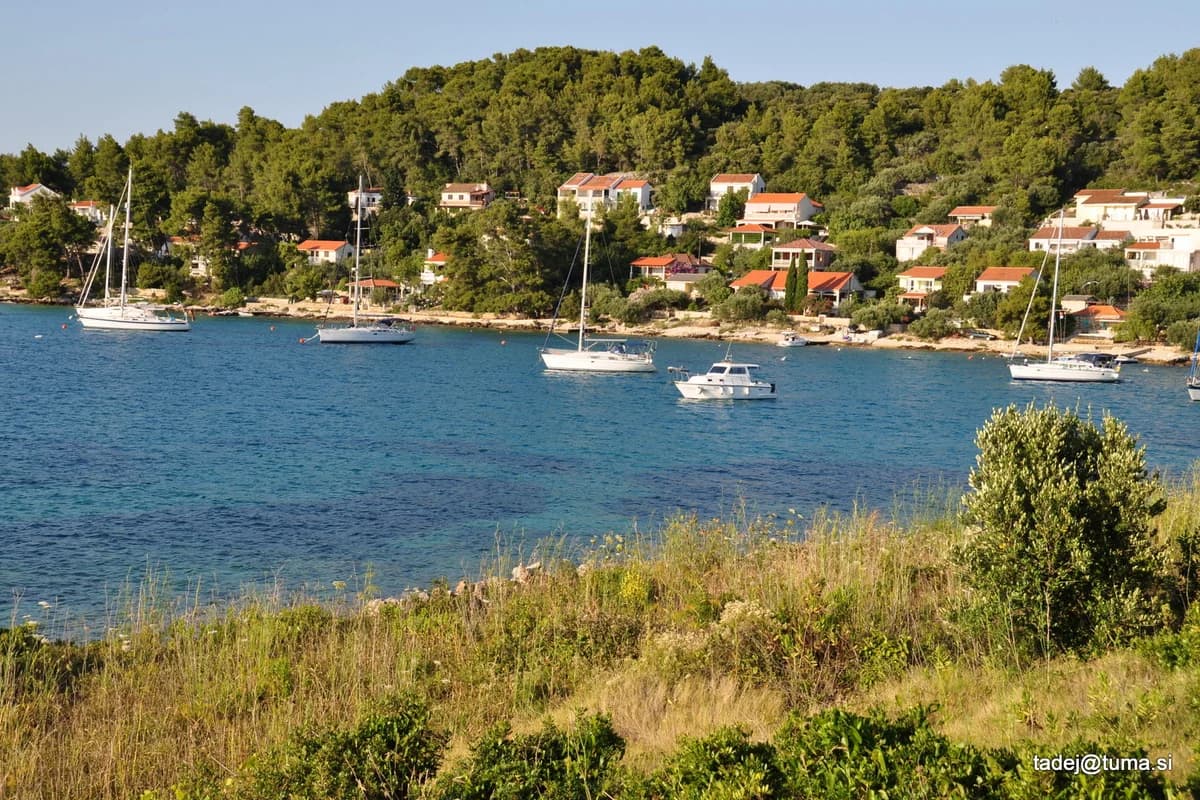 Plaža Gradina (Vela Luka)
