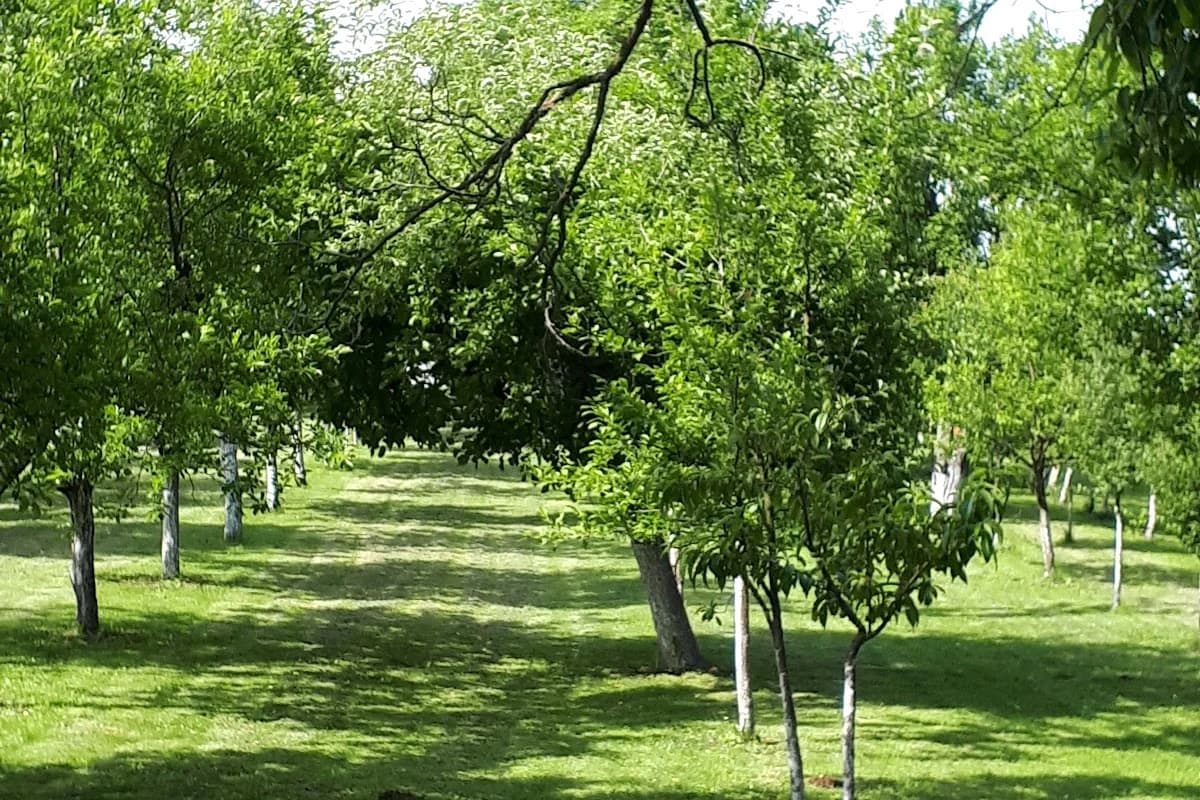 Željeznička stanica Rokovci