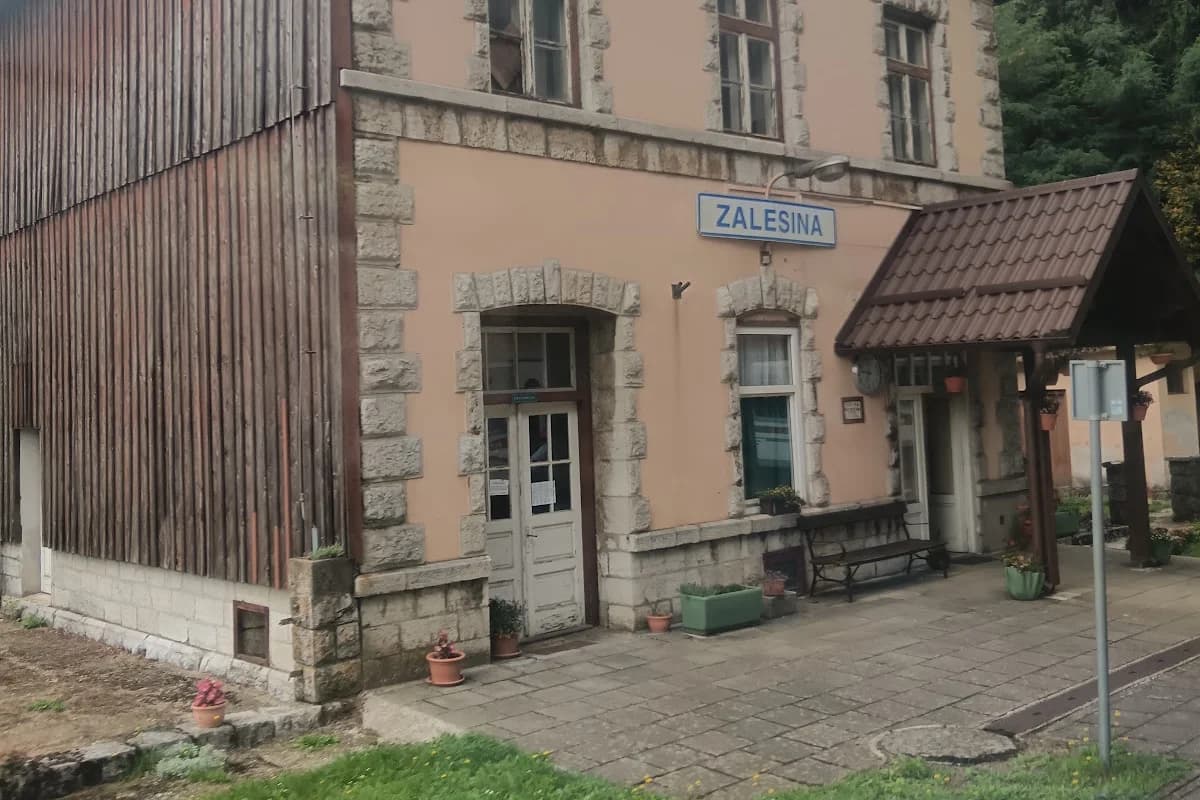 Željeznička stanica Zalesina