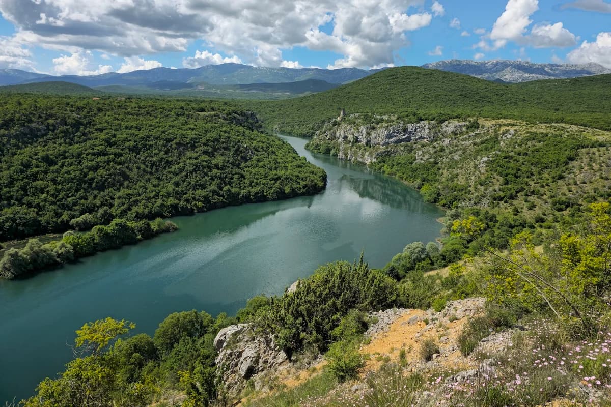 Vidikovac Gučnica