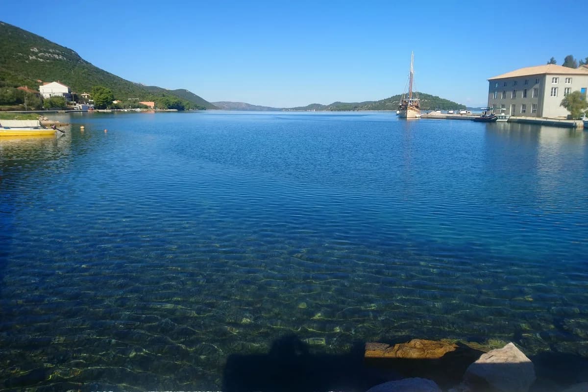 Marina Luka