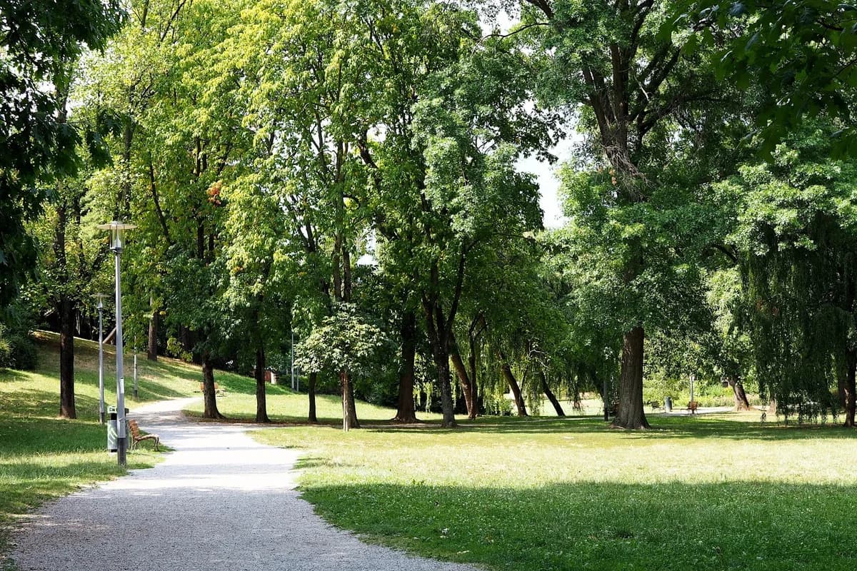 Park Ribnjak