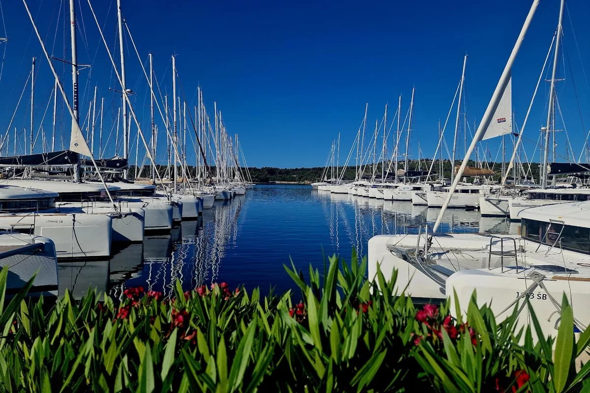 Marina D-Marin Mandalina