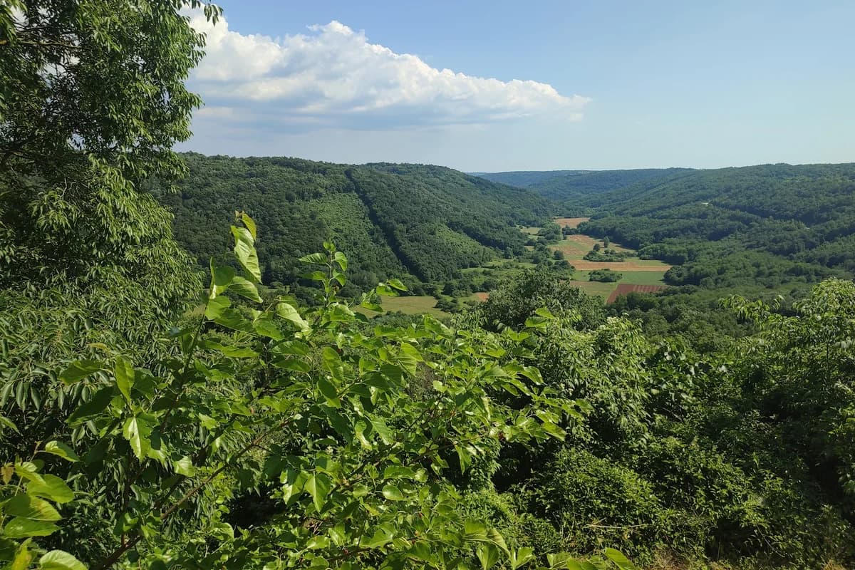 Vidikovac Belveder (Lođa)